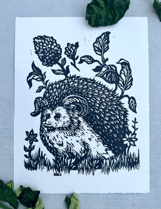 Hedgehog Ram