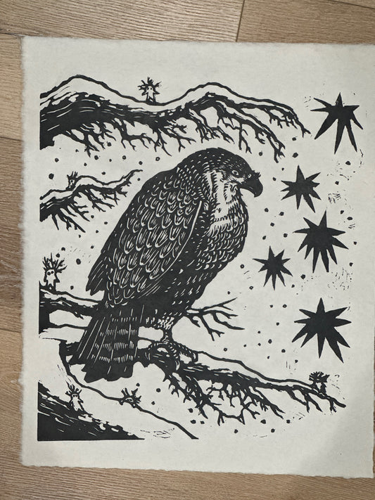 Falcon Print