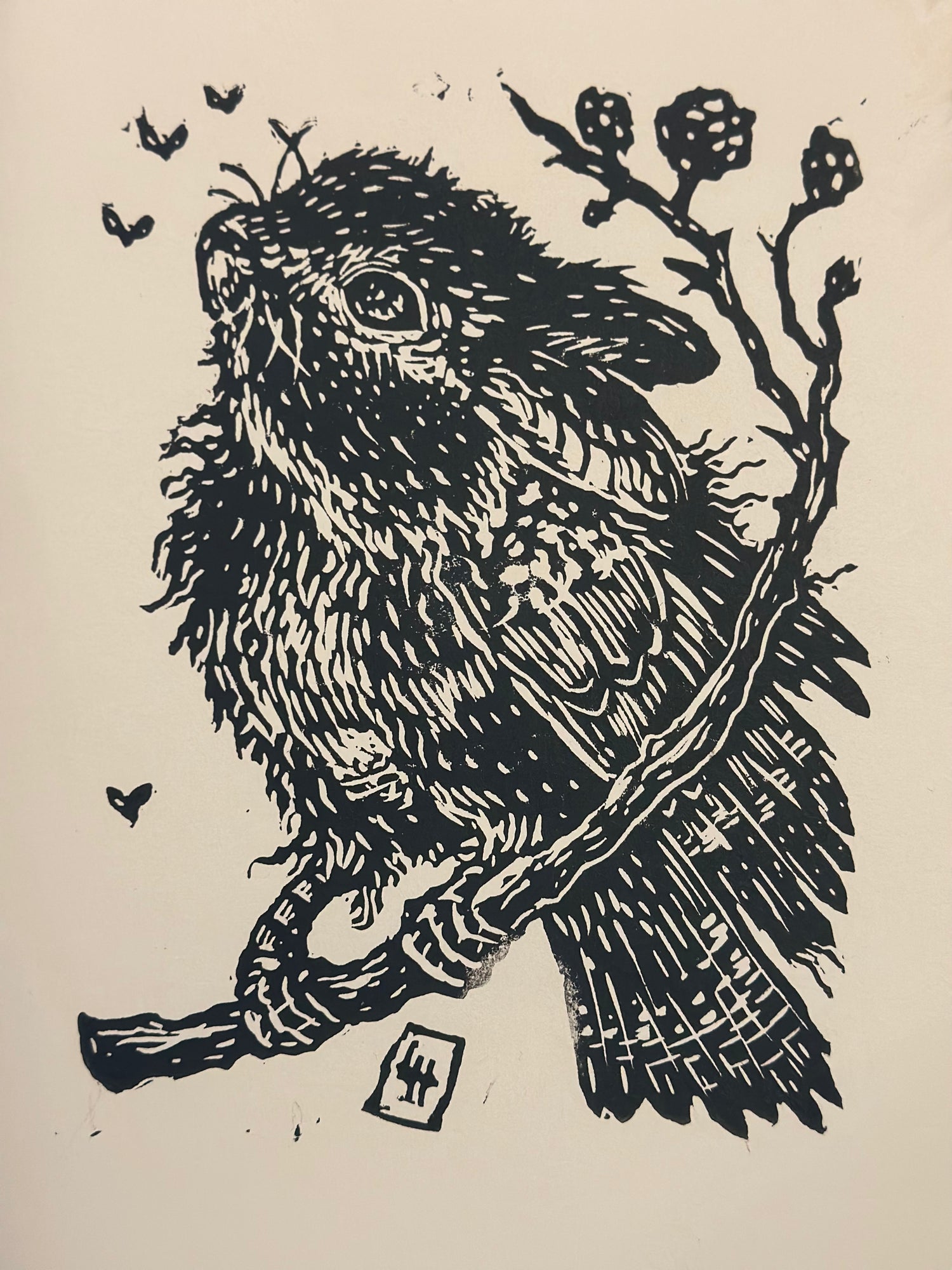 Medium Prints